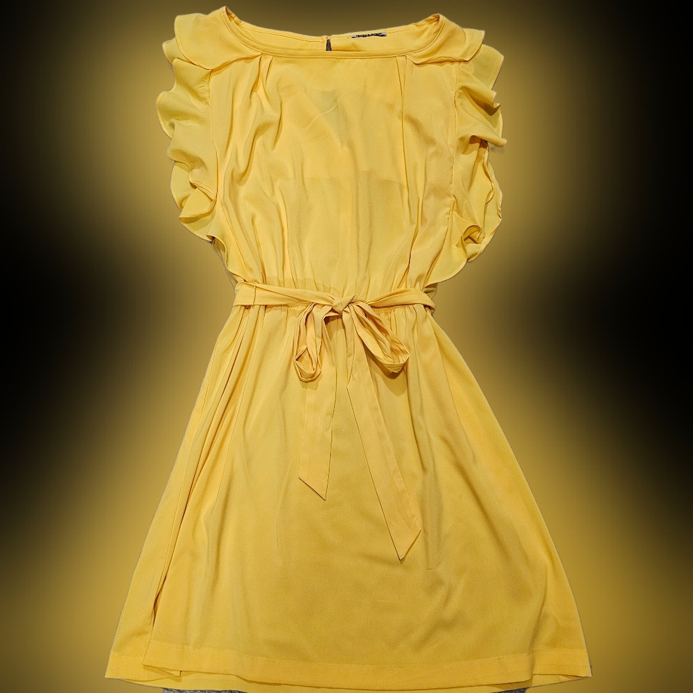 Shelby & Palmer Yellow Ruffle Sleeve Dress